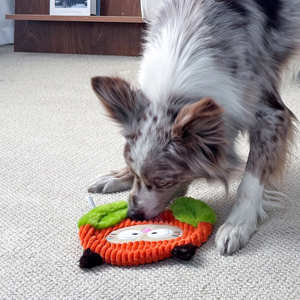 4114 Orman Kaşifi Baykuş – İpli Köpek Oyuncağı