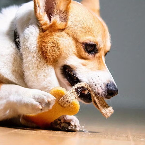 6041 Gum Gum Peynir Şekilli Köpek Oyuncağı