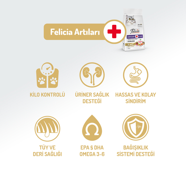 Felicia 12 Kg Kolajenli Somonlu Az Tahıllı Kısırlaştırılmış Kedi Maması HypoAllergenic Kedi Maması