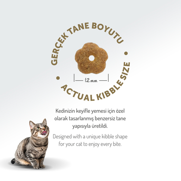 Felicia 12 Kg Kolajenli Tavuklu Az Tahıllı Yetişkin Kedi Maması HypoAllergenic Kedi Maması