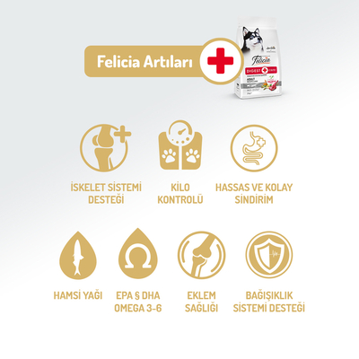 Felicia 15 Kg Kolajenli Kuzulu Az Tahıllı M/Large Yetişkin Köpek Maması Breed HypoAllergenic Köpek Maması - Thumbnail