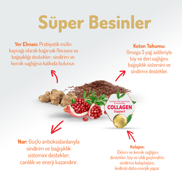 Felicia 2 Kg Kolajenli Somonlu Az Tahıllı Kısırlaştırılmış Kedi Maması HypoAllergenic Kedi Maması