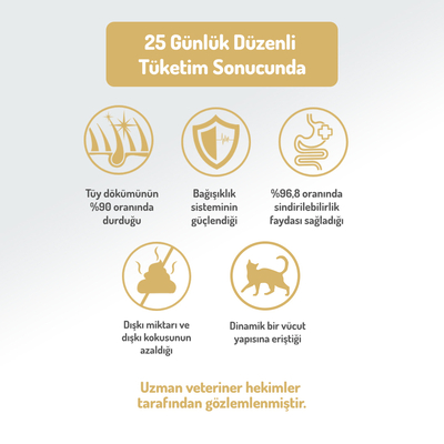 Felicia 2 Kg Kolajenli Somonlu Az Tahıllı Kısırlaştırılmış Kedi Maması HypoAllergenic Kedi Maması - Thumbnail