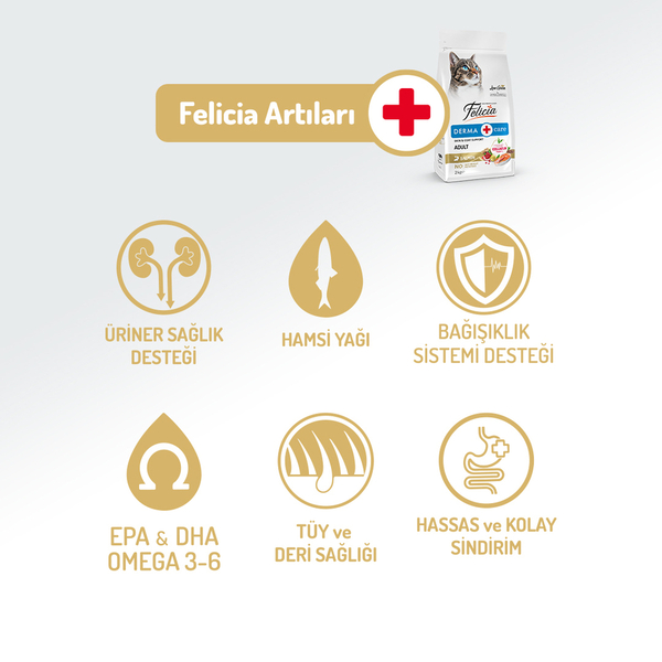 Felicia 2 Kg Kolajenli Somonlu Az Tahıllı Yetişkin Kedi Maması HypoAllergenic Kedi Maması