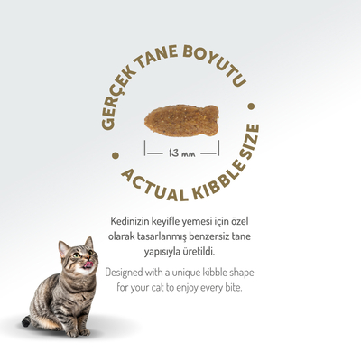 Felicia 2 Kg Kolajenli Somonlu Az Tahıllı Yetişkin Kedi Maması HypoAllergenic Kedi Maması - Thumbnail