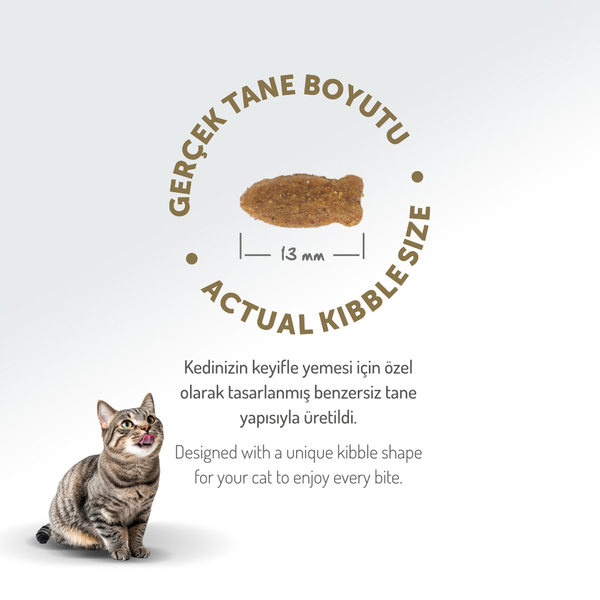 Felicia 2 Kg Kolajenli Somonlu Az Tahıllı Yetişkin Kedi Maması HypoAllergenic Kedi Maması