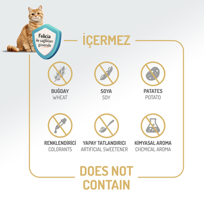 Felicia 2 Kg Kolajenli Tavuklu Az Tahıllı Yavru Kedi Maması HypoAllergenic Kedi Maması - Thumbnail
