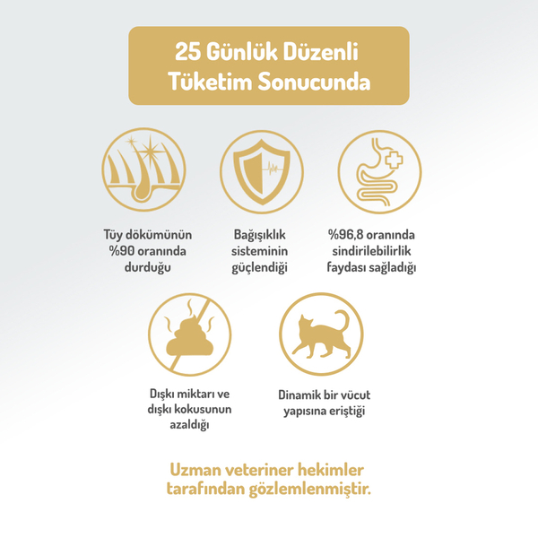 Felicia 2 Kg Kolajenli Tavuklu Az Tahıllı Yetişkin Kedi Maması HypoAllergenic Kedi Maması