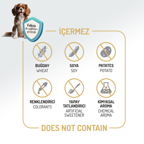 Felicia 3 Kg Kolajenli Kuzulu Az Tahıllı Small/Mini Yetişkin Köpek Maması HypoAllergenic Köpek Maması