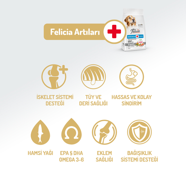 Felicia 3 Kg Kolajenli Somonlu Az Tahıllı M/Large Yetişkin Köpek Maması Breed HypoAllergenic Köpek Maması