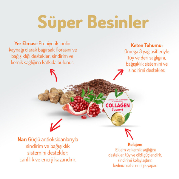 Felicia 5 Kg Kolajenli Somonlu Az Tahıllı Yetişkin Kedi Maması HypoAllergenic Kedi Maması