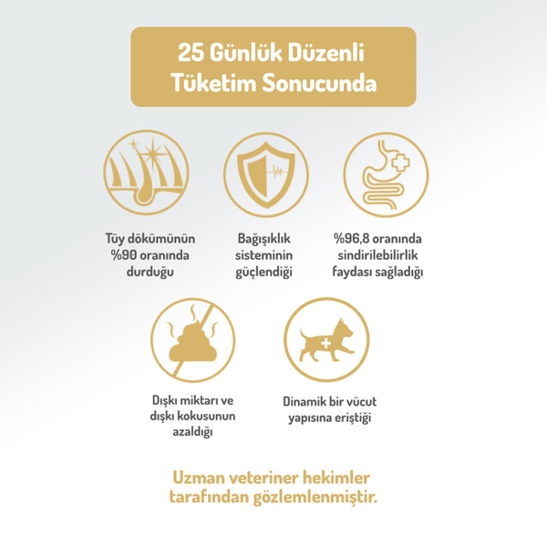 Felicia 6 Kg (2x3 Kg) Kolajenli Kuzulu Az Tahıllı M/Large Yetişkin Köpek Maması. Breed HypoAllergenic Köpek Maması