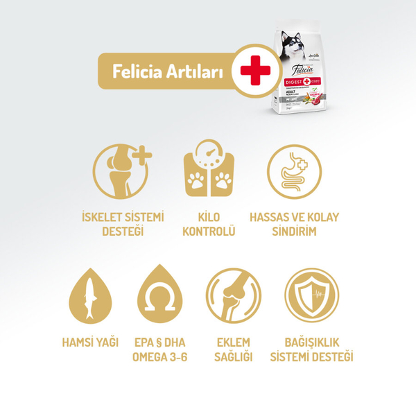 Felicia 6 Kg (2x3 Kg) Kolajenli Kuzulu Az Tahıllı M/Large Yetişkin Köpek Maması Breed HypoAllergenic Köpek Maması