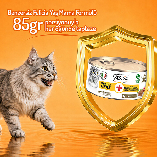 Felicia 85 Gr Hindili Ezme Kısırlaştırılmış Kedi Konserve Maması 24 Adet