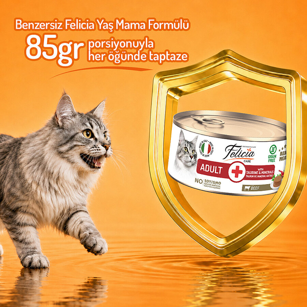 Felicia 85 gr Sığır Etli Ezme Yetişkin Kedi Konserve Maması 24 Adet