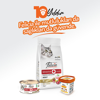 Felicia 85 gr Sığır Etli Ezme Yetişkin Kedi Konserve Maması 24 Adet - Thumbnail