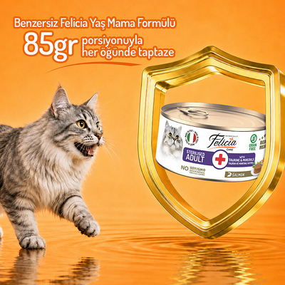 Felicia 85 gr Somonlu Ezme Kısırlaştırılmış Kedi Konserve Maması 24 Adet - Thumbnail
