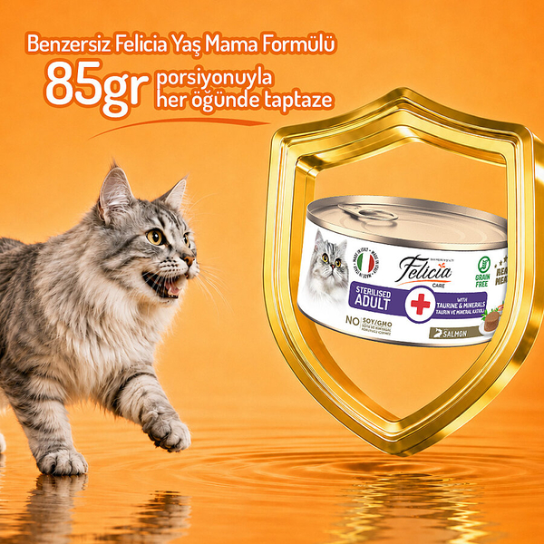 Felicia 85 gr Somonlu Ezme Kısırlaştırılmış Kedi Konserve Maması 24 Adet