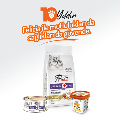 Felicia 85 gr Somonlu Ezme Kısırlaştırılmış Kedi Konserve Maması 24 Adet - Thumbnail