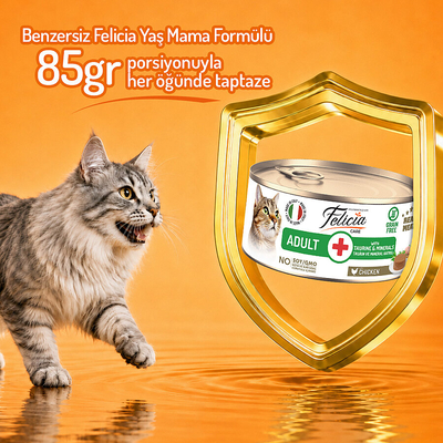 Felicia 85 gr Tavuklu Ezme Yetişkin Kedi Konserve Maması 24 Adet - Thumbnail