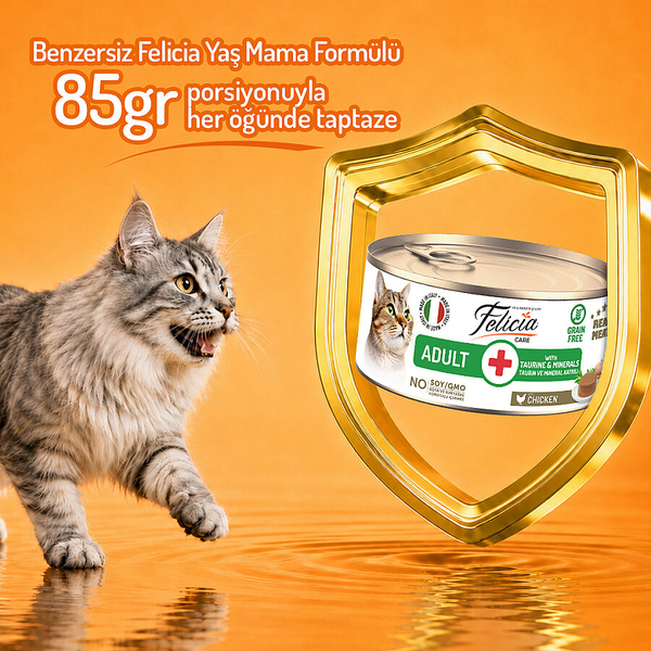 Felicia 85 gr Tavuklu Ezme Yetişkin Kedi Konserve Maması 24 Adet