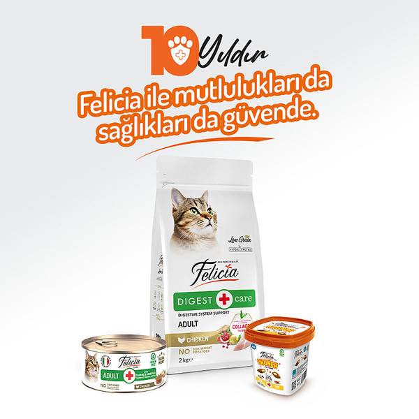 Felicia 85 gr Tavuklu Ezme Yetişkin Kedi Konserve Maması 24 Adet