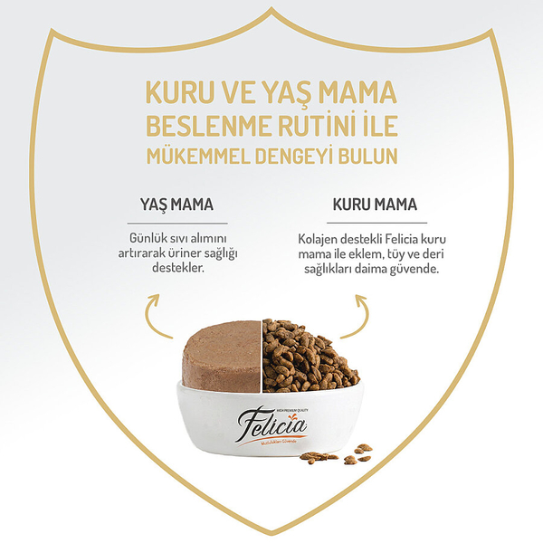 Felicia 85 gr Tavuklu Püre Yavru Kedi Konserve Maması 24 Adet