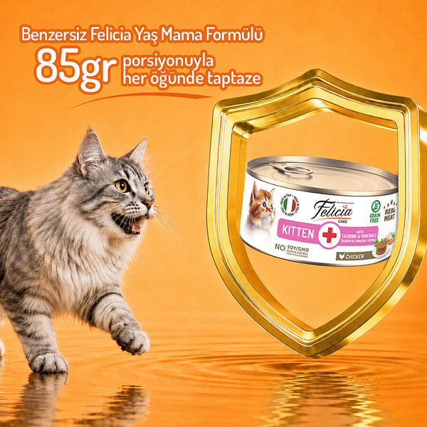 Felicia 85 gr Tavuklu Püre Yavru Kedi Konserve Maması 24 Adet