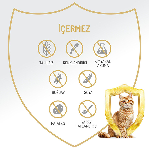 Felicia 85 gr Tavuklu Püre Yavru Kedi Konserve Maması 24 Adet