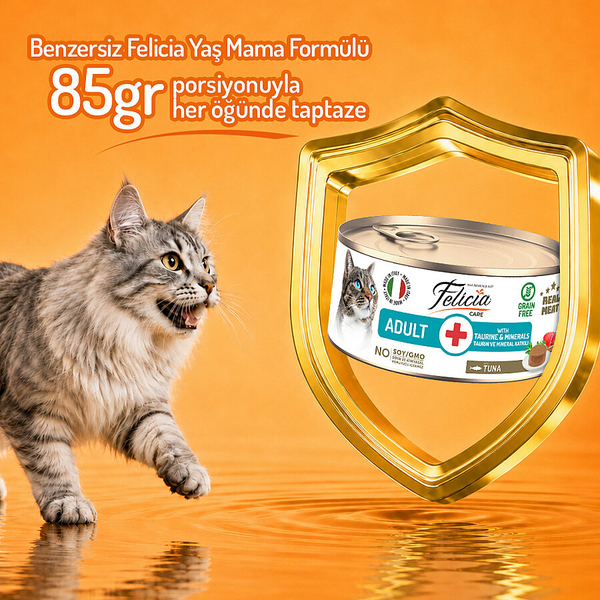 Felicia 85 gr Ton Balıklı Ezme Yetişkin Kedi Konserve Maması 24 Adet