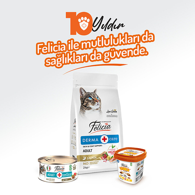 Felicia 85 gr Ton Balıklı Ezme Yetişkin Kedi Konserve Maması 24 Adet - Thumbnail