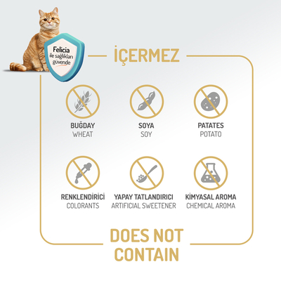 Felicia 12 Kg Kolajenli Kuzulu Az Tahıllı Yetişkin Kedi Maması HypoAllergenic Kedi Maması - Thumbnail