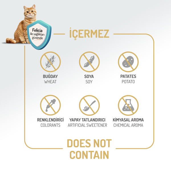 Felicia 12 Kg Kolajenli Kuzulu Az Tahıllı Yetişkin Kedi Maması HypoAllergenic Kedi Maması