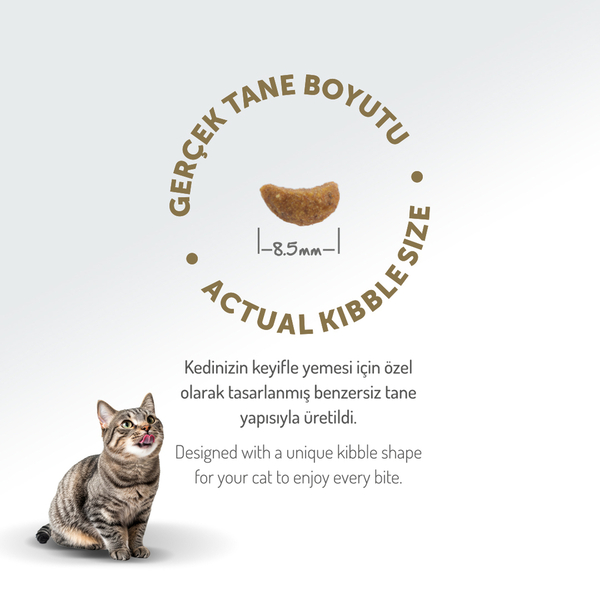 Felicia 12 Kg Kolajenli Kuzulu Az Tahıllı Yetişkin Kedi Maması HypoAllergenic Kedi Maması