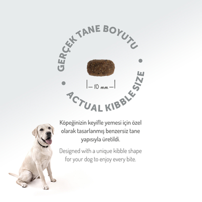 Felicia 6 Kg (2x3 Kg) Kolajenli Kuzulu Az Tahıllı Small/Mini Yetişkin Köpek Maması HypoAllergenic Köpek Maması - Thumbnail