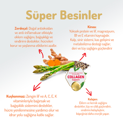 Felicia 6 Kg (2x3 Kg) Kolajenli Somonlu Az Tahıllı Small/Mini Yetişkin Köpek Maması /Mini HypoAllergenic Köpek Maması - Thumbnail