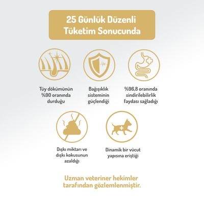 Felicia 6 Kg (2x3 Kg) Kolajenli Somonlu Az Tahıllı Small/Mini Yetişkin Köpek Maması /Mini HypoAllergenic Köpek Maması - Thumbnail