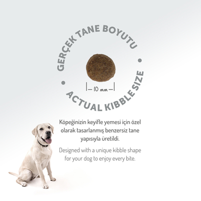 Felicia 6 Kg (2x3 Kg) Kolajenli Somonlu Az Tahıllı Small/Mini Yetişkin Köpek Maması /Mini HypoAllergenic Köpek Maması - Thumbnail