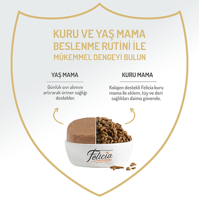 Felicia Kısır Tahılsız Somonlu Kedi Konserve 400g - 12 Adet - Thumbnail