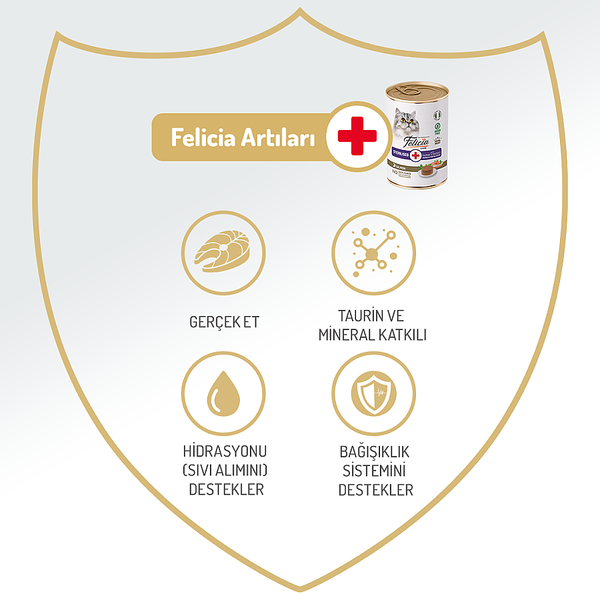 Felicia Kısır Tahılsız Somonlu Kedi Konserve 400g - 12 Adet