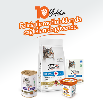 Felicia Kısır Tahılsız Somonlu Kedi Konserve 400g - 12 Adet - Thumbnail