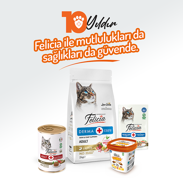 Felicia Yetişkin Tahılsız Biftekli Kedi Konserve 400g - 12 Adet
