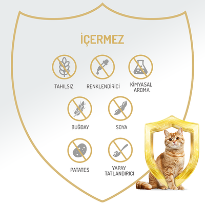Felicia Yetişkin Tahılsız Tavuklu Kedi Konserve 400g - 12 Adet - Thumbnail