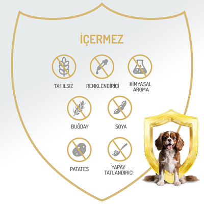 Felicia Yetişkin Tahılsız Tavuklu Köpek Konserve 400g - 12 Adet - Thumbnail