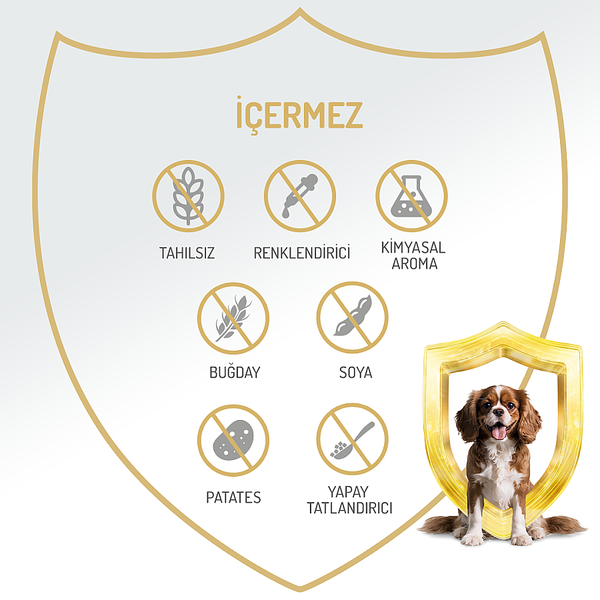 Felicia Yetişkin Tahılsız Tavuklu Köpek Konserve 400g - 12 Adet
