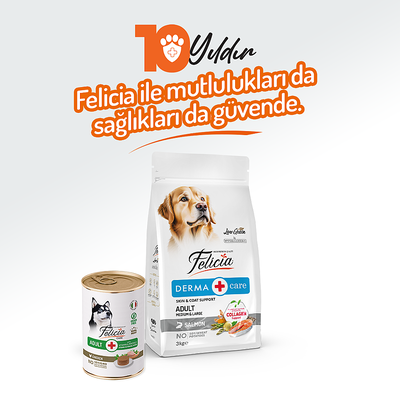 Felicia Yetişkin Tahılsız Tavuklu Köpek Konserve 400g - 12 Adet - Thumbnail