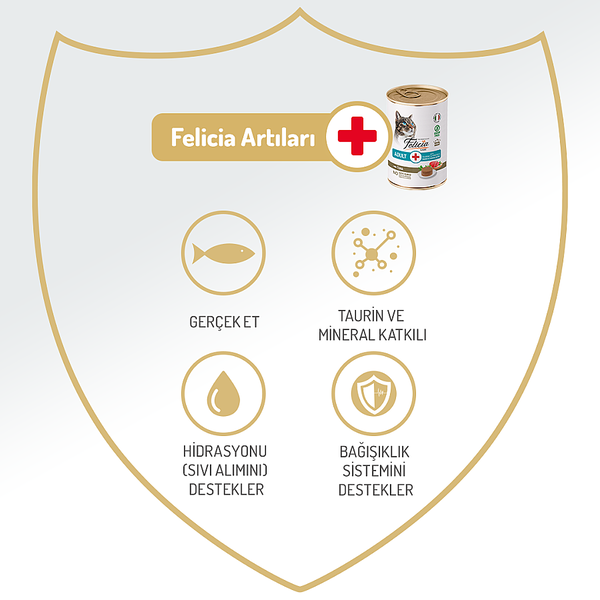 Felicia Yetişkin Tahılsız Ton Balıklı Kedi Konserve 400g - 12 Adet