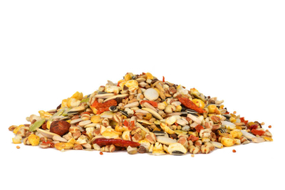 Molen Premium Papağan Yemi 15 kg - 2