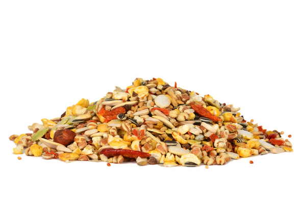 Molen Premium Papağan Yemi 15 kg - 2