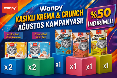  - ONUR-015 WANPY KAŞIKLI KREMA& CRUNCH AĞUSTOS KAMPANYASI